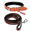 PetsUp Stylish Dog Leash & Neck Coller Combo