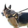 PetsUp Cool Comfort Oxford Cloth Vest Harness for Dogs