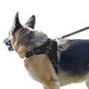 PetsUp Cool Comfort Oxford Cloth Vest Harness for Dogs