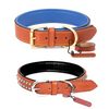 PetsUp Stylish Dog Leash & Neck Coller Combo