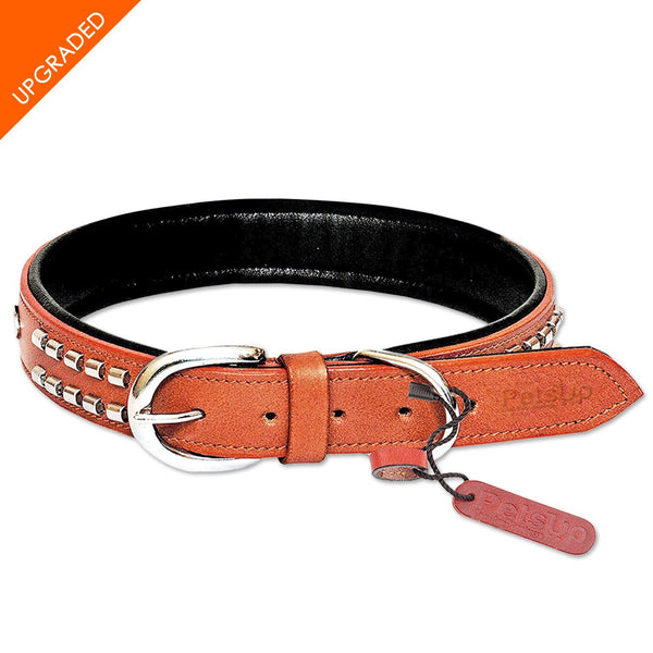 Customizable Medusa Leather MadcoW Dog Collar Made In The USA Fully Adjustable, cheapest Add Spikes, Personalize With Dogs Name