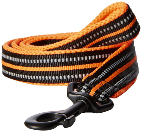 PetsUp Nylon Small Medium Large Dogs Reflective Orange Leash, 200cm Long