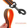 PetsUp Nylon Small Medium Large Dogs Reflective Orange Leash, 200cm Long