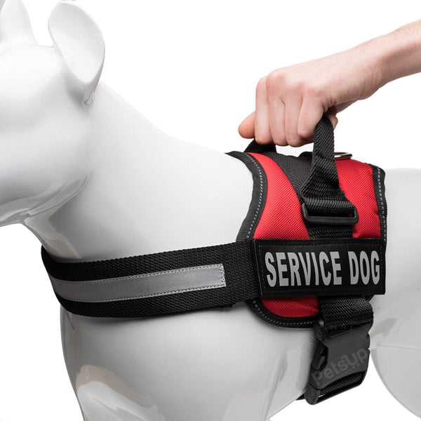 PetsUp Service Dog Harness Chest Body Belt - Main Image