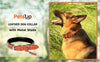 PetsUp Stylish Dog Leash & Neck Coller Combo