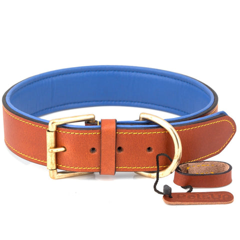 PetsUp Dog Collar Neck Belt for Small To Large Dogs (Tan\Blue)