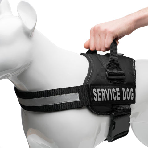 MUMUPET Service Dog Harness, No Pull Easy On and Off India