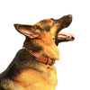 PetsUp Stylish Studded Dog Collar Neck Belt for Small Medium Large Dogs.