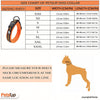 PetsUp Stylish Dog Collar Neck Belt for Small Medium Large Dogs (Orange)