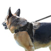 PetsUp Adjustable Dog Harness Body Belt Vest Chest Belts (Black)