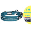 Reflective Stylish  Dog Collar Neck Belt Blue
