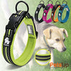 PetsUp Metal Dog Collar Neck Belt for Dogs (Reflective Collars- Green)