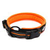 PetsUp Stylish Dog Collar Neck Belt for Small Medium Large Dogs (Orange)